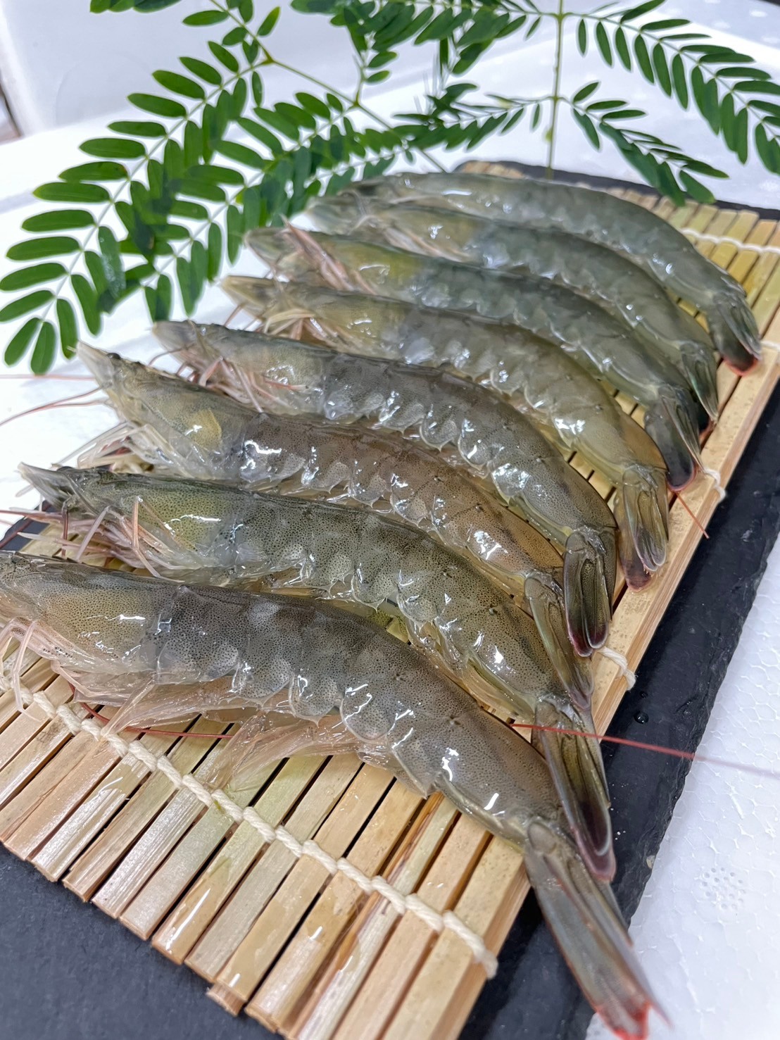 LINE_ALBUM_案場與蝦子照片_241225_122 LINE_ALBUM_案場與蝦子照片_241225_122